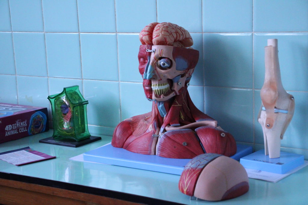 Laboratório de Biologia e Química